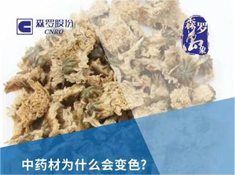 《森羅萬象》，萬象包羅 第2問